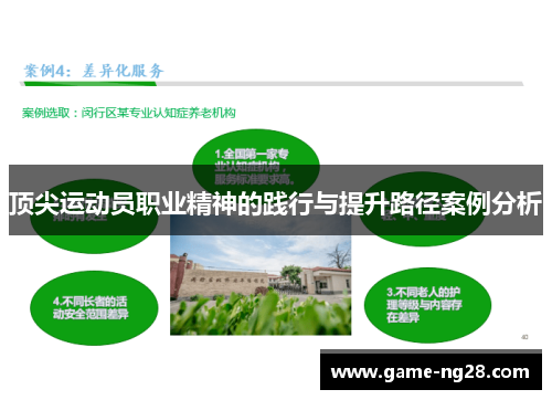 顶尖运动员职业精神的践行与提升路径案例分析 顶尖运动员职业精神的践行与提升路径案例分析