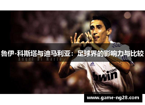 鲁伊-科斯塔与迪马利亚：足球界的影响力与比较